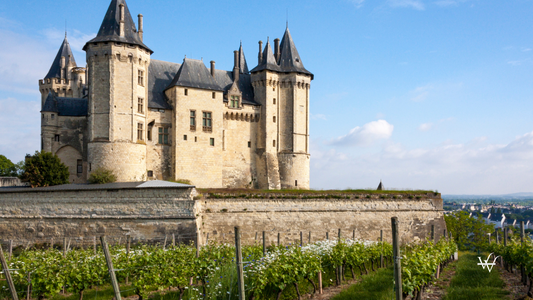 France Loire Chateau de Saumur Vineyard