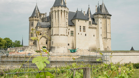 France Loire Saumur Castle Vineyard