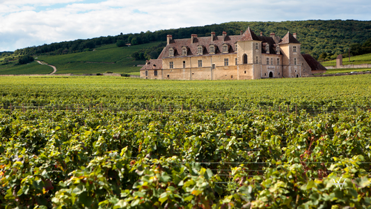 French Chateau Vineyard