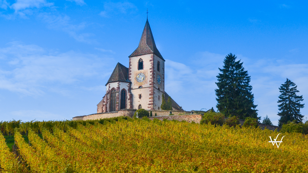 Hunawihr, Alsace Vineyard, France