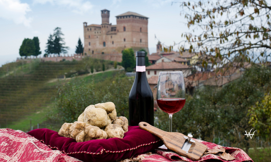 White truffles from Piedmont Italy