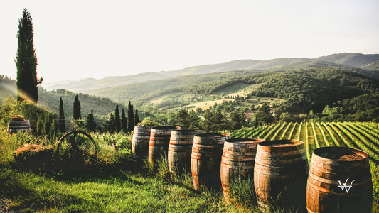 Italy Vineyards