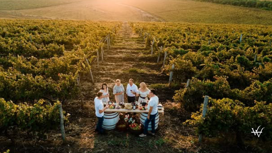 Javgur Vineyards