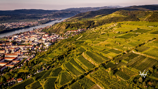 Krems Ried Wachtberg
