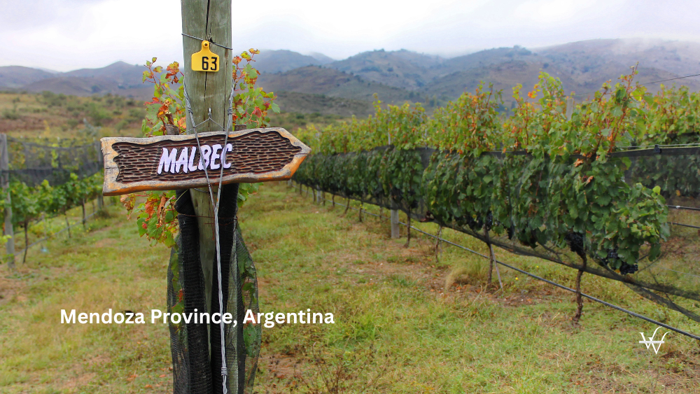 Mendoza Province, Argentina