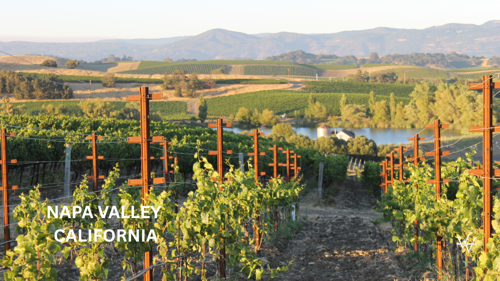 Napa Valley, California
