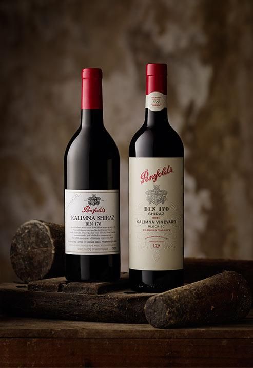 penfolds premium wines treasury wine estates