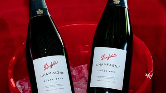 Penfolds Champagne