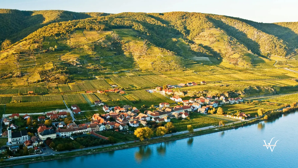 Pure_Terroir_Ried_Loibenberg_Domane_Wachau