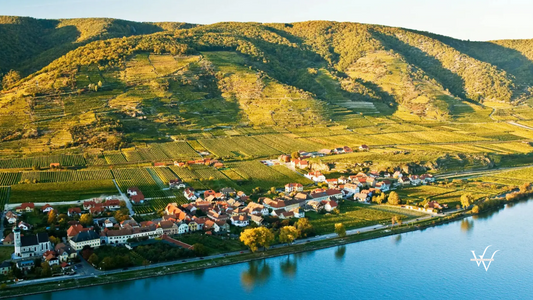 Pure Terroir Ried Loibenberg Domäne Wachau