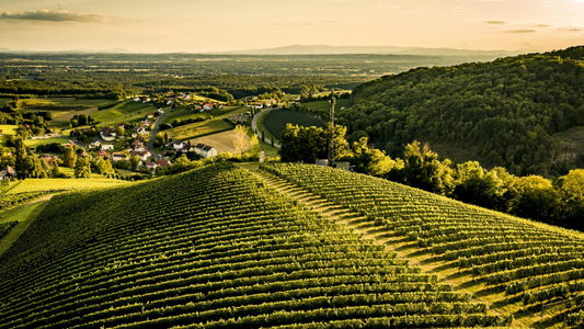 Ried Hochwarth, Klöch, Vulkanland Steiermark, Steiermark © Austrian Wine  Robert Herbst