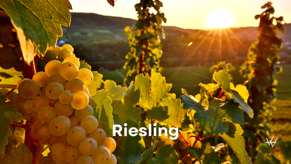 Riesling