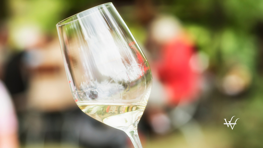 Riesling , White Wine