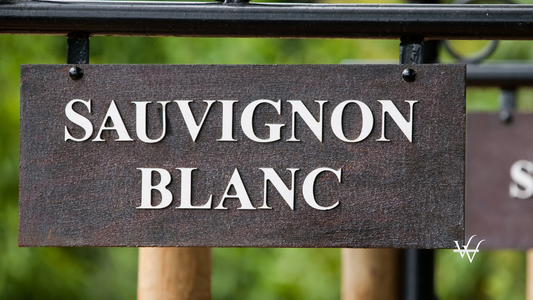 Sauvignon Blanc