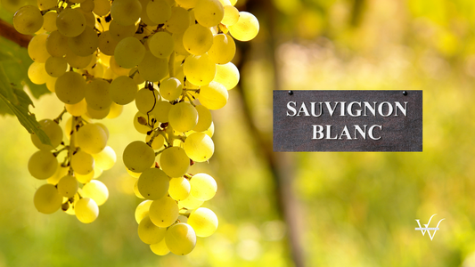 Sauvignon Blanc Grapes