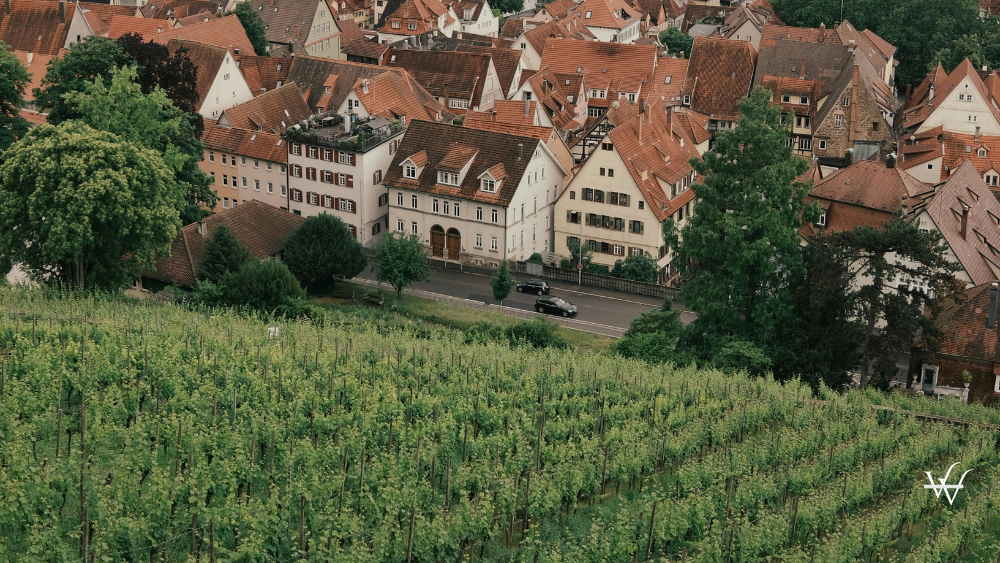 Scenic German Town with Vineyard Panorama