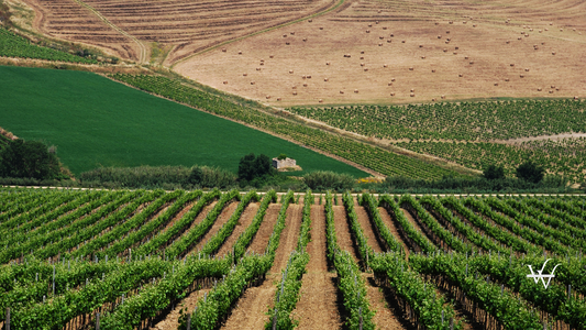Sicily