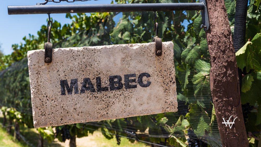 Sign of Malbec grape wine against the background of vine plants in a vineyard