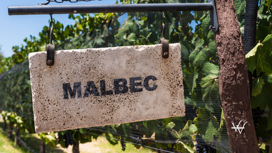Sign of Malbec grape wine against the background of vine plants in a vineyard