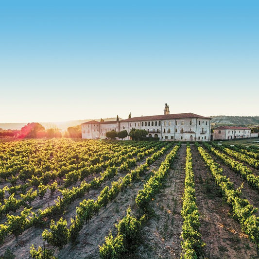 Spain Ribera del Duero Wines Vineyards