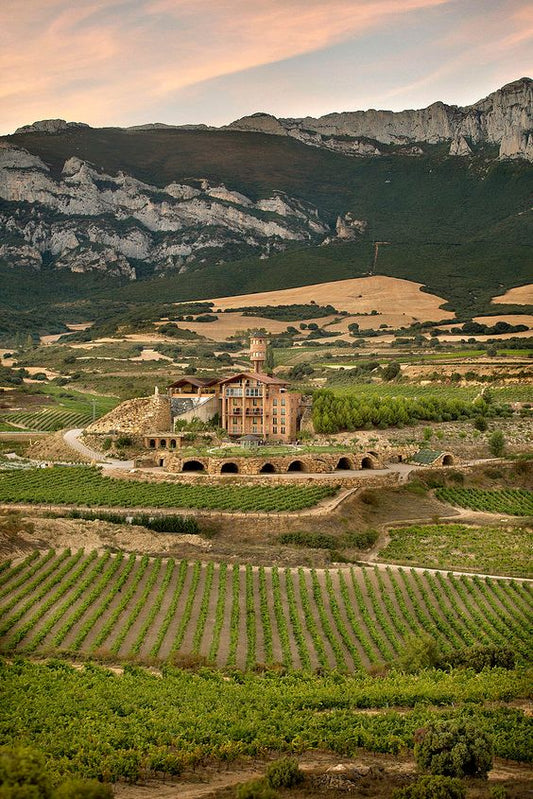 Spain Rioja Winery Vineyards