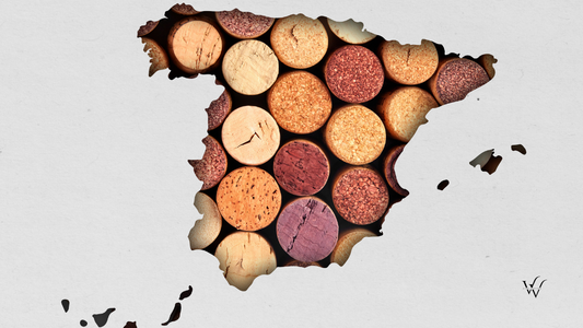 Spanish Wine (1)