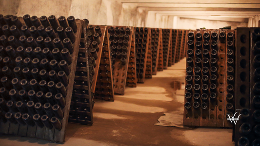 Sparkling Wine Glass Bottles in Winery