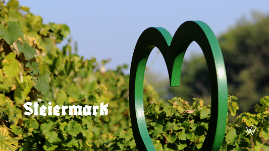 Steiermark vineyard