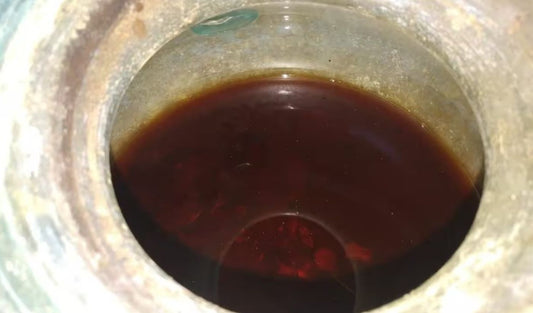 The Oldest Wine Discovered