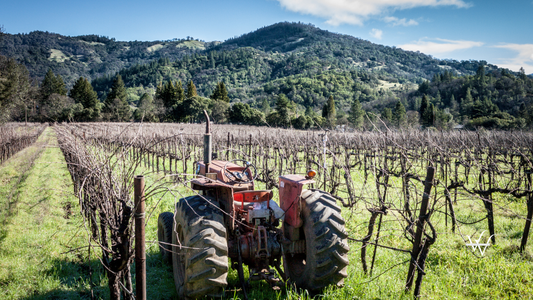 Tractor parked in vineyard