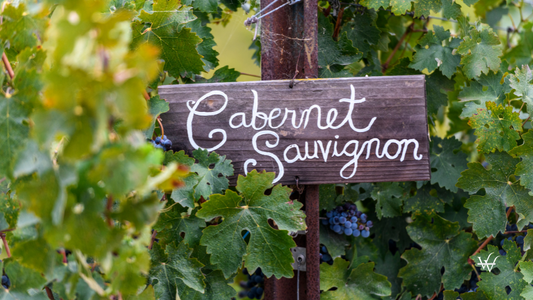 USA California Napa Cabernet Sauvignon
