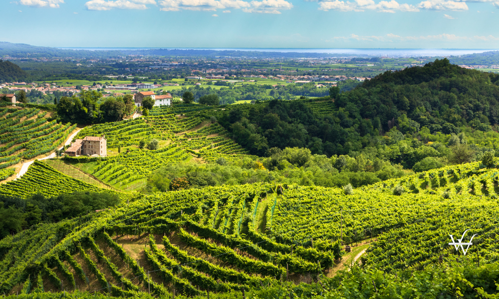 Valdobbiadene_Prosecco_Hills
