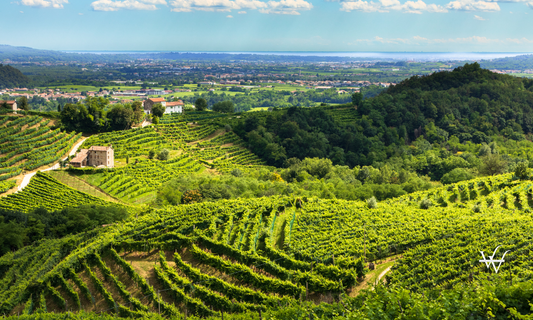 Valdobbiadene_Prosecco_Hills