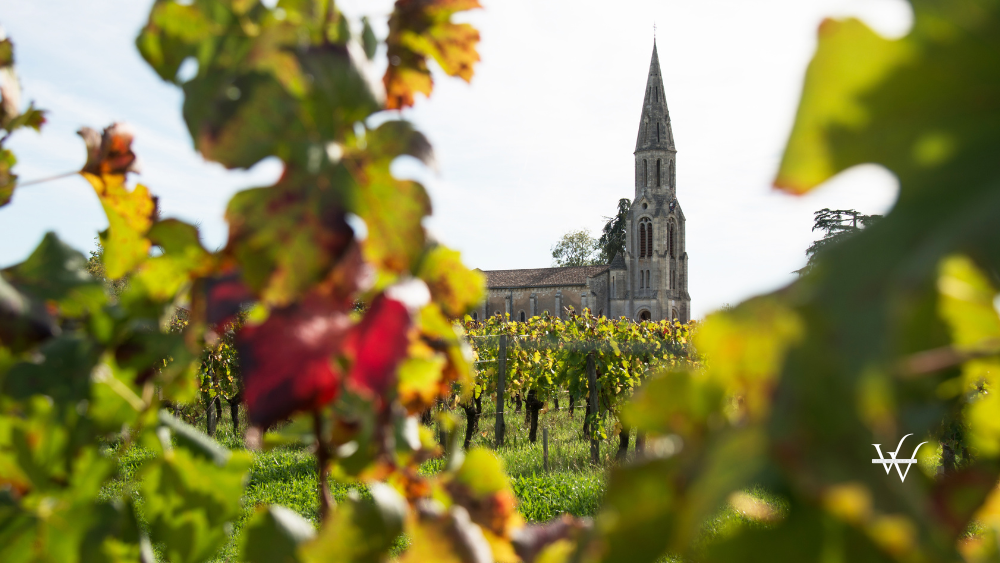 Vineyard-Landscape-Lalande de Pomerol-France