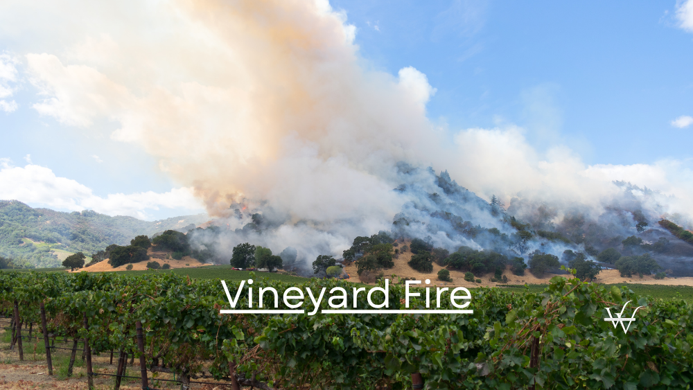 Vineyard Fire