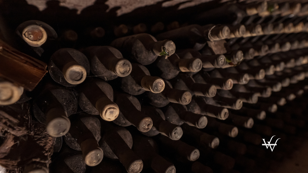 Vintage wine bottles in underground wine cellar in Moldova Republic
