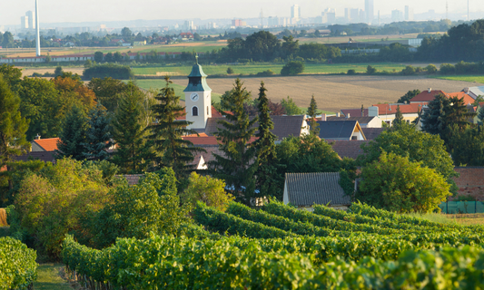 Weingut Eichberger Title