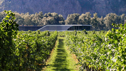 Weingut F.X. Pichler