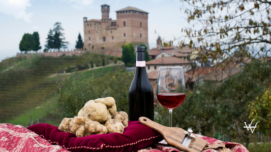 White truffles from Piedmont Italy