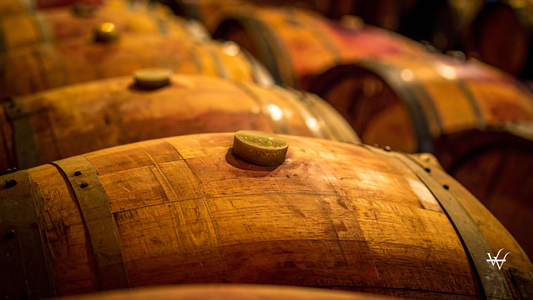 Wine Barrels in Winery Cellar