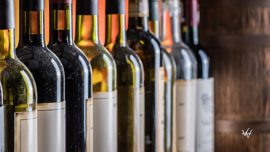 Wine Bottles in Cellar