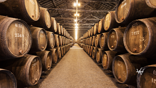 Wine Cellar, Porto