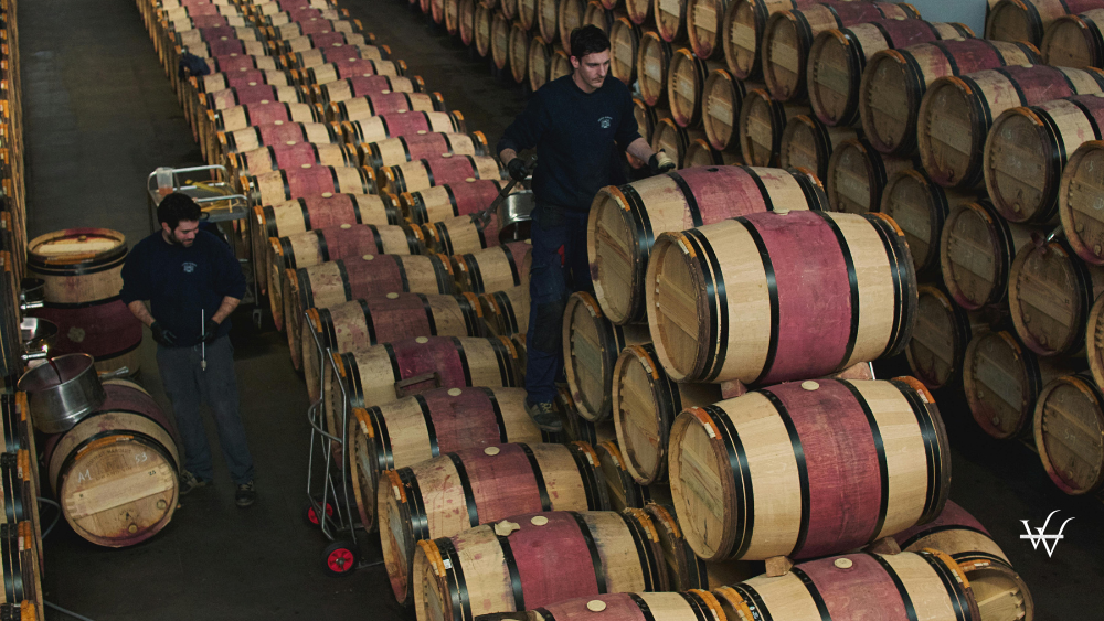 Wine Cellar in Margaux with Oak Barrels