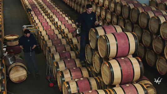 Wine_Cellar_in_Margaux_with_Oak_Barrels Wine_Cellar_in_Margaux_with_Oak_Barrels