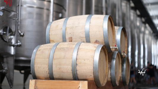 Wine Production and Modern Wine Tanks with Wine Barrels