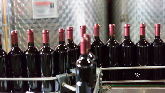 Wine production