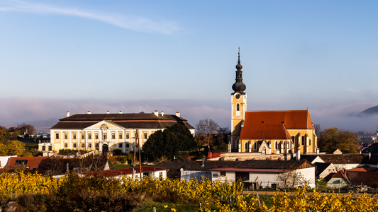 Winery Schloss Gobelsburg Title