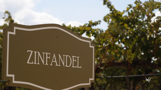 Zinfandel Wine-Intelligence.com