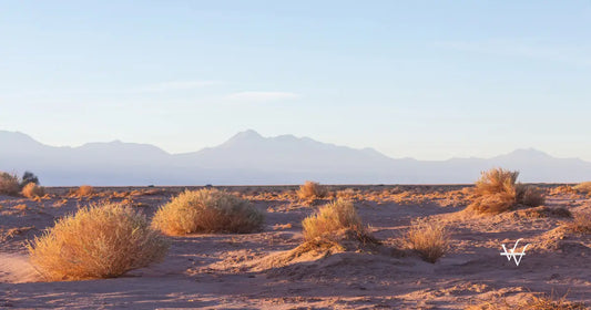 atacama dessert