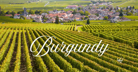 burgundy vineyard